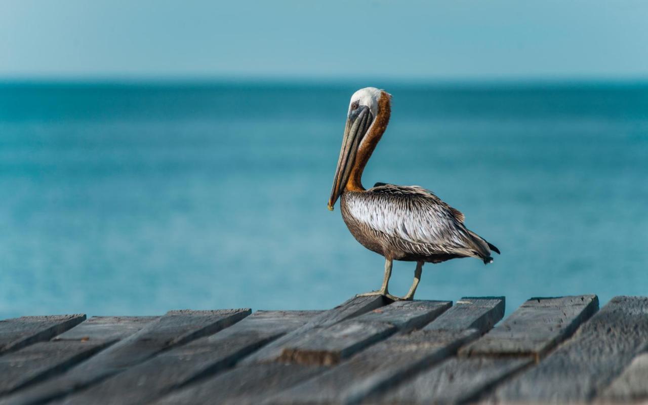 Hotel Isla Palma Reserva Natural Zewnętrze zdjęcie