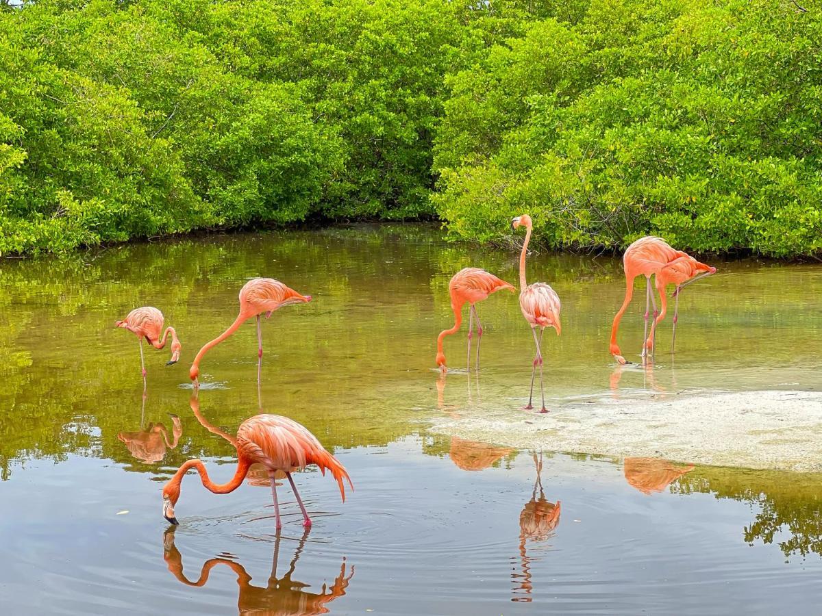 Hotel Isla Palma Reserva Natural Zewnętrze zdjęcie